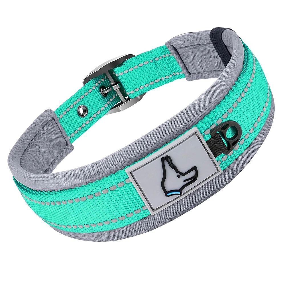 Collier chien | Canifort