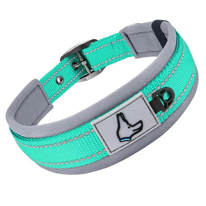 Collier chien | Canifort
