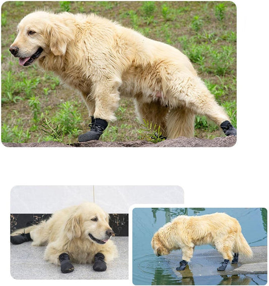 Chaussure chien | Caniboot - empire chien