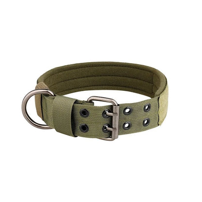 Collier chien | Bravox - empire chien