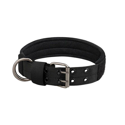 Collier chien | Bravox - empire chien