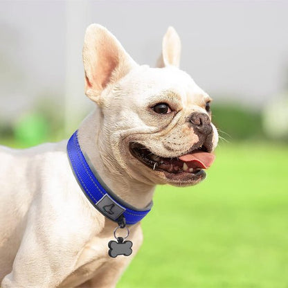 Collier chien | Canifort - empire chien