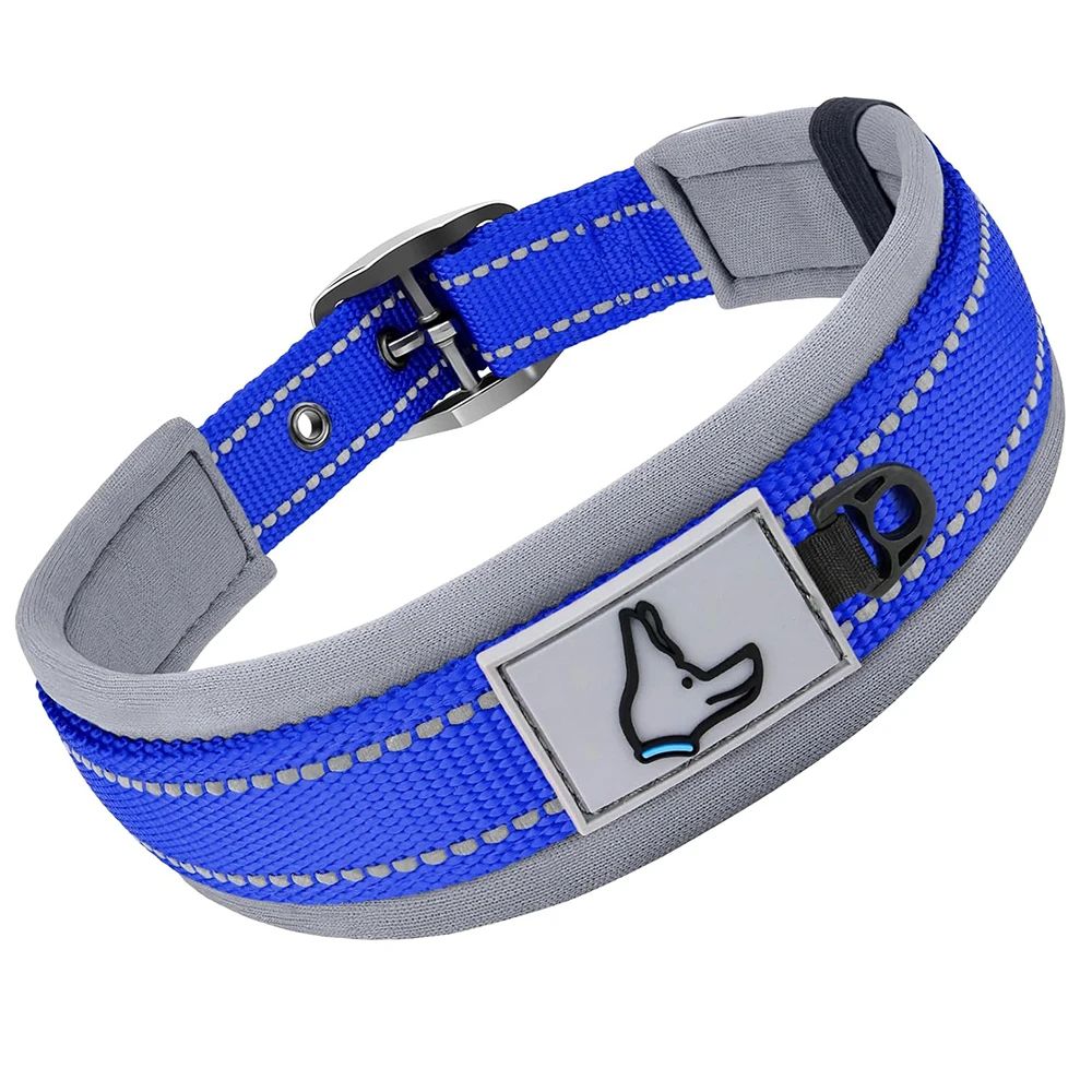 Collier chien | Canifort - empire chien