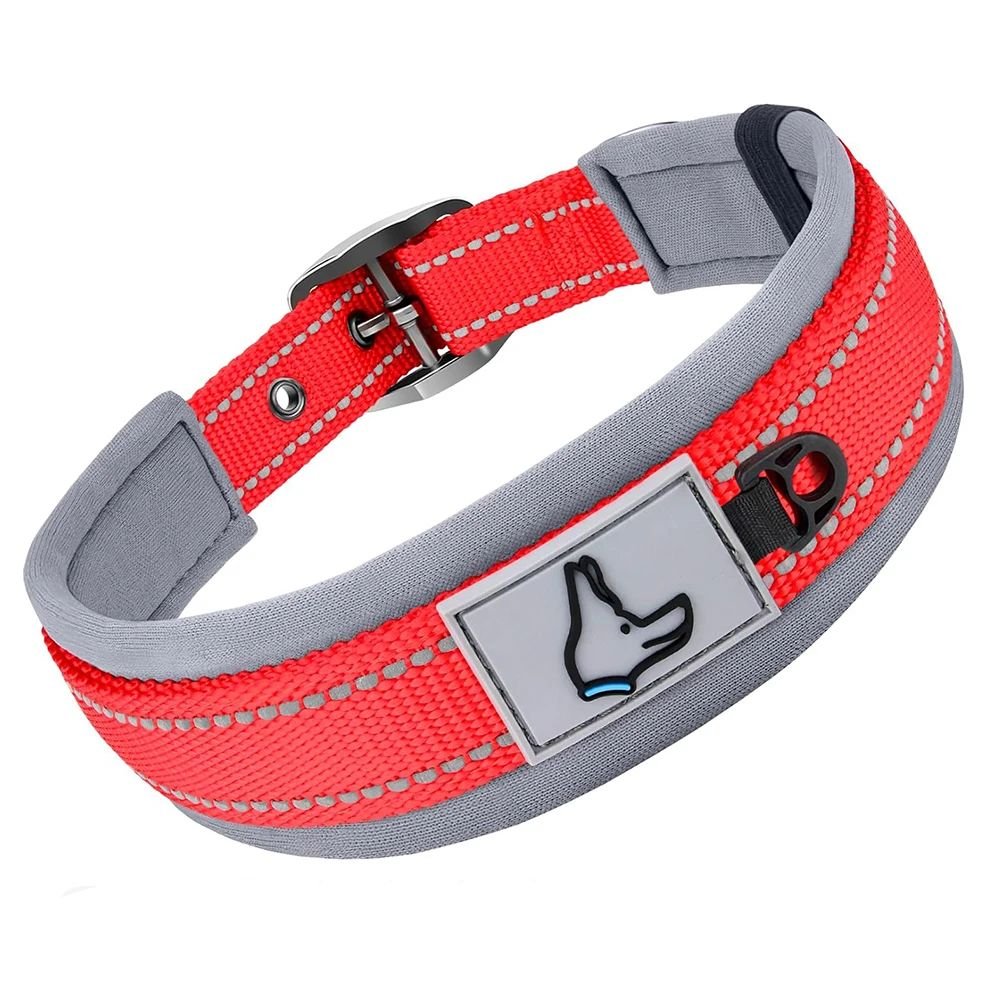 Collier chien | Canifort - empire chien