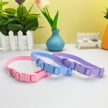 collier chien couleurs
