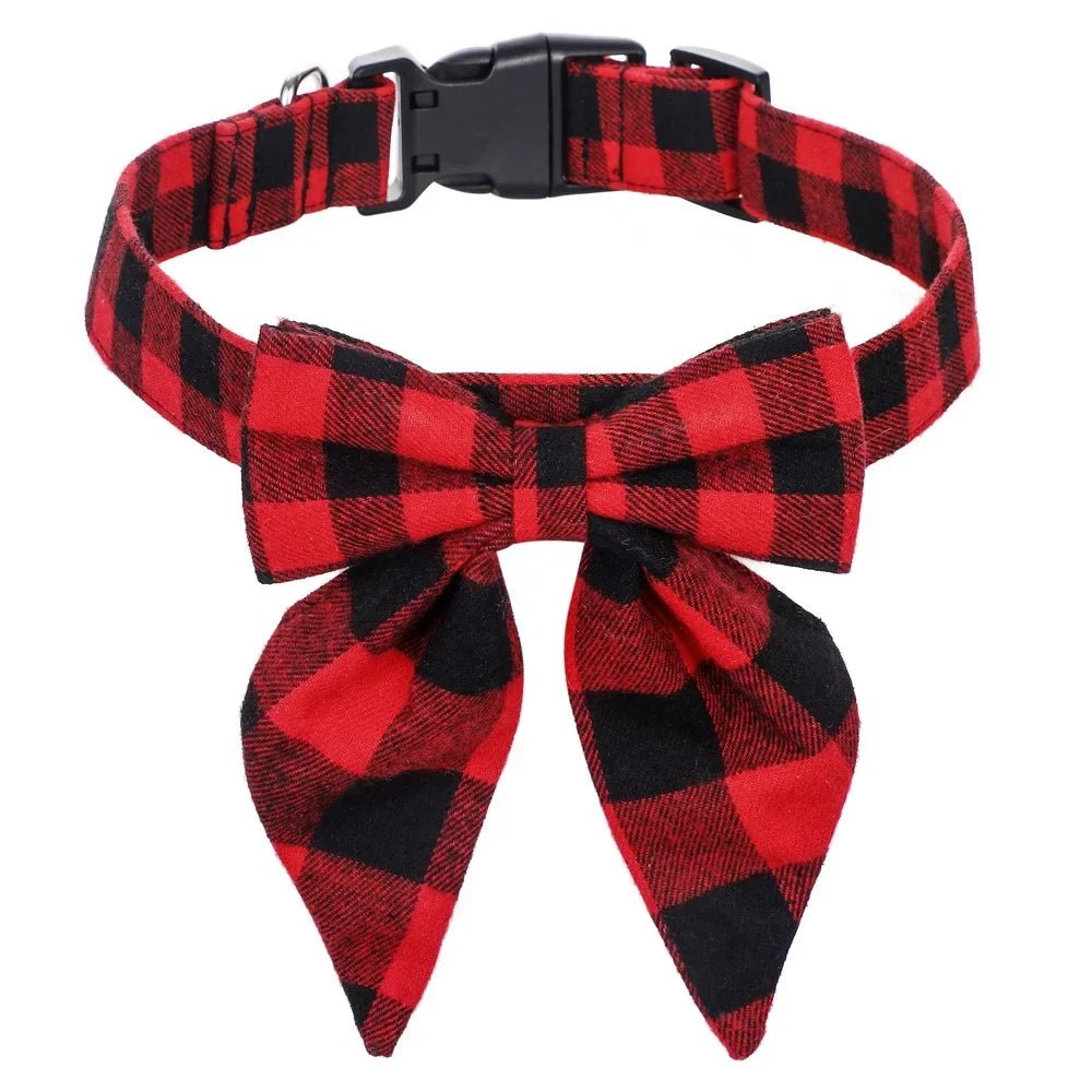 Collier Chien | ÉléganceCollier - empire chien