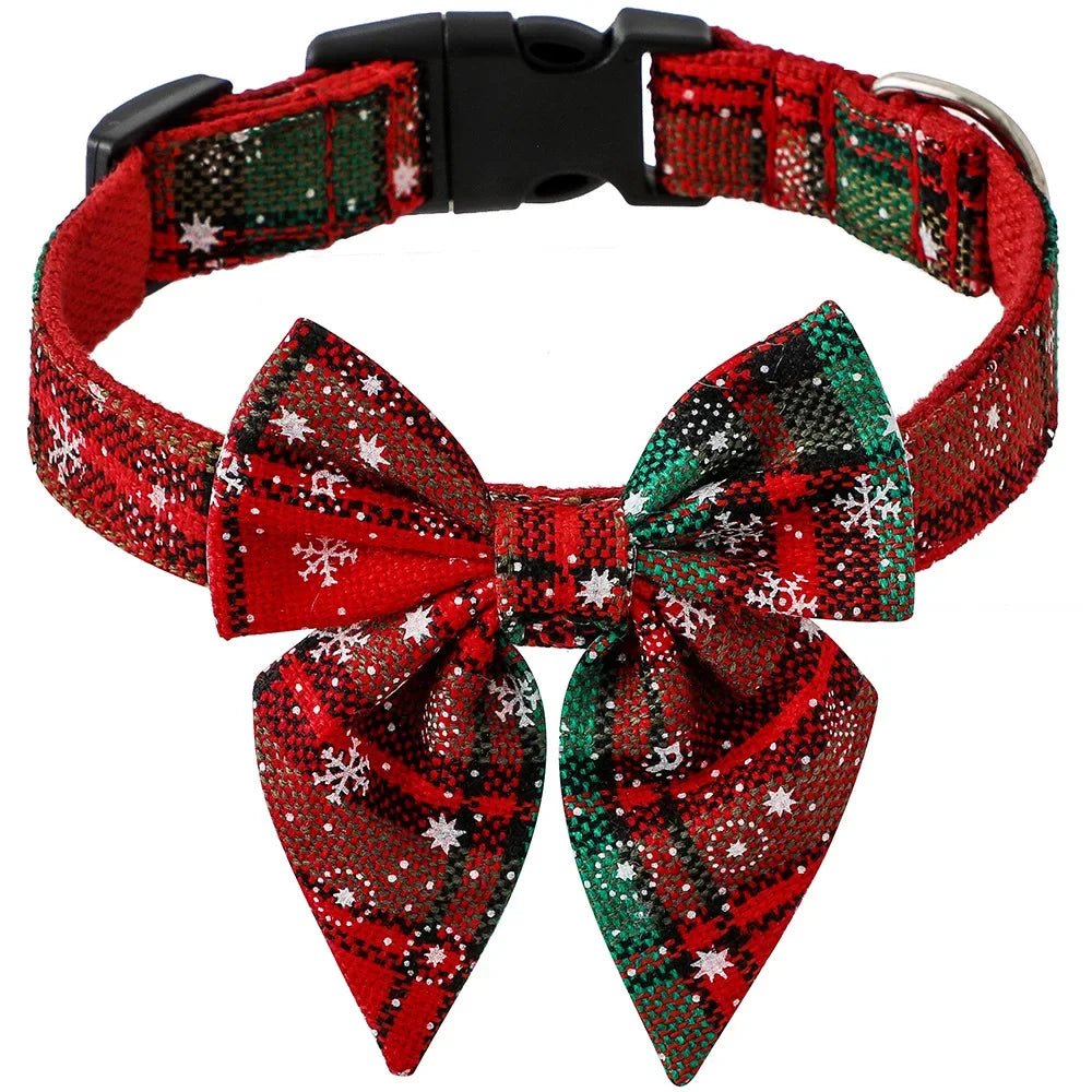Collier Chien | ÉléganceCollier - empire chien
