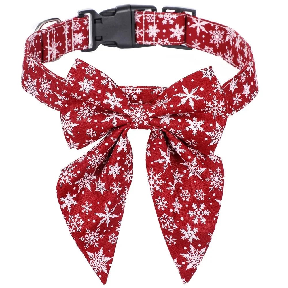 Collier Chien | ÉléganceCollier - empire chien