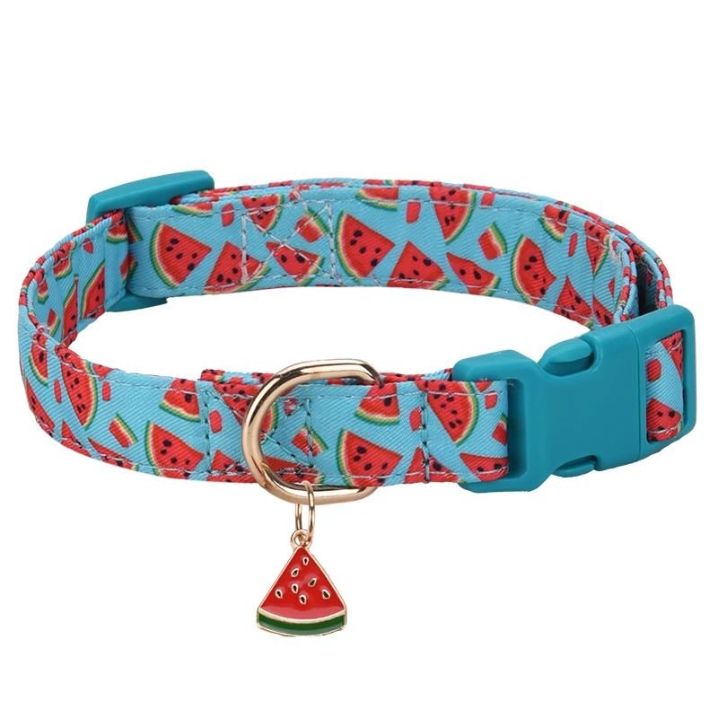 Collier chien | Fruitycollier - empire chien