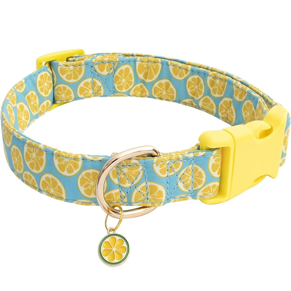 Collier chien | Fruitycollier - empire chien
