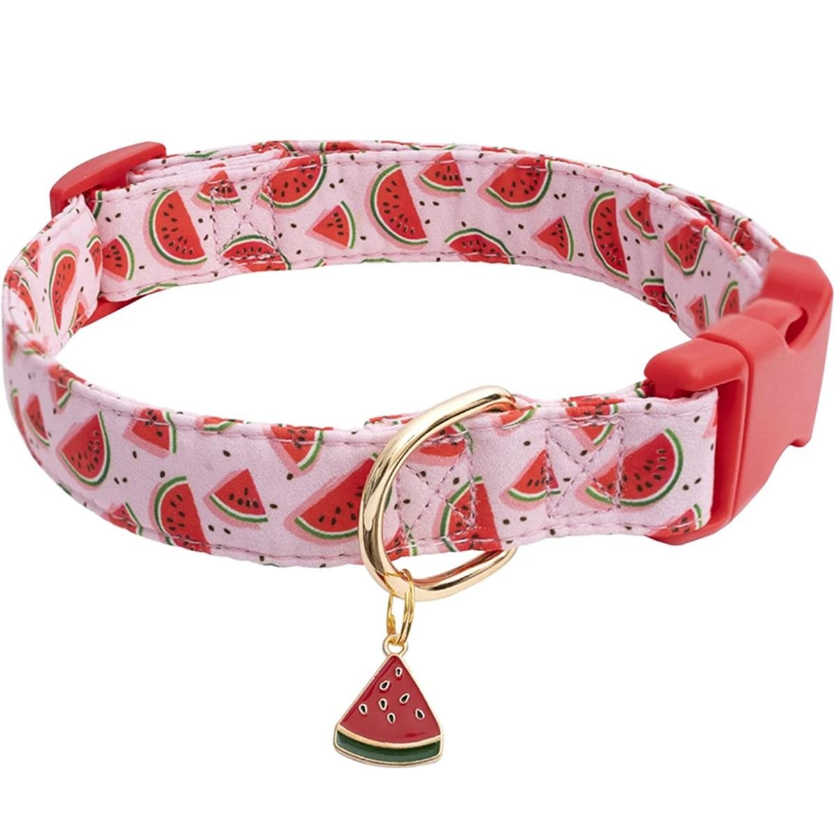 Collier chien | Fruitycollier - empire chien