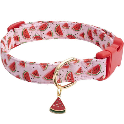 Collier chien | Fruitycollier - empire chien