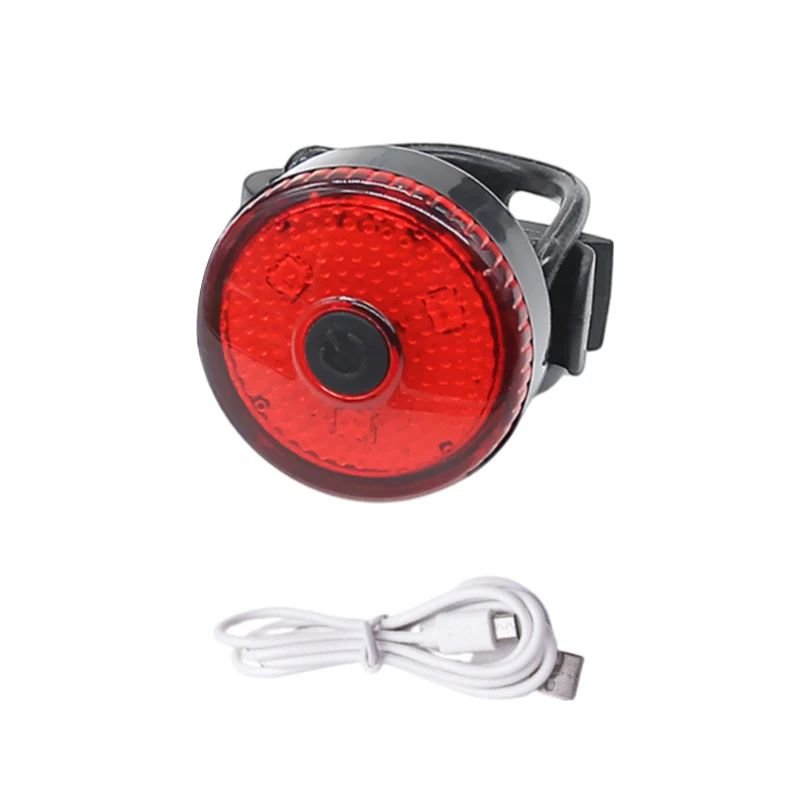 Collier chien | LumiCollier - empire chien