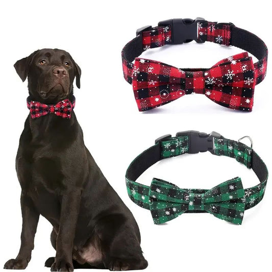 Collier chien | Noëlichien - empire chien
