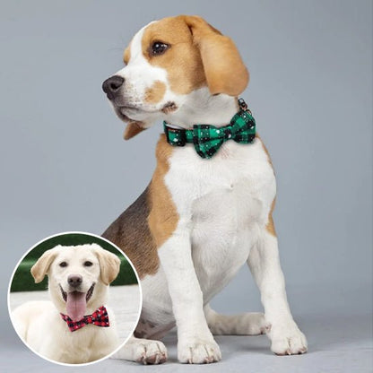 Collier chien | Noëlichien - empire chien