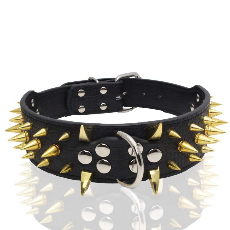 collier chien noir or 
