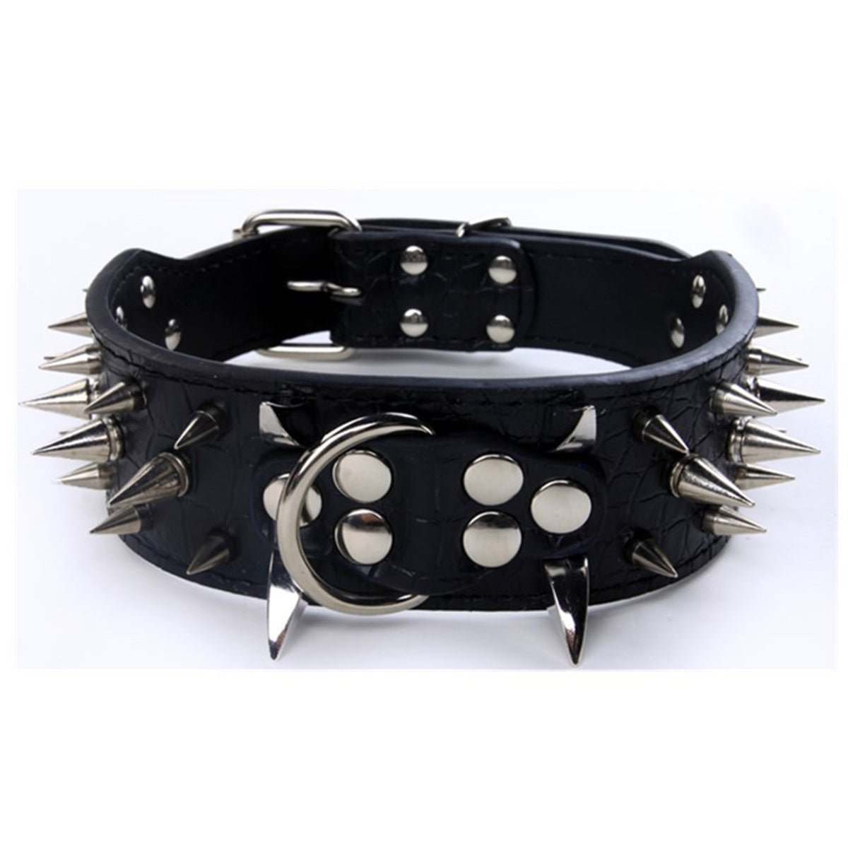 collier chien noir 