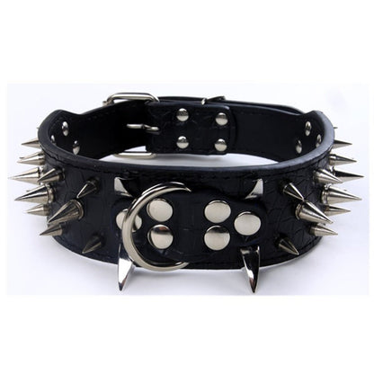 collier chien noir 