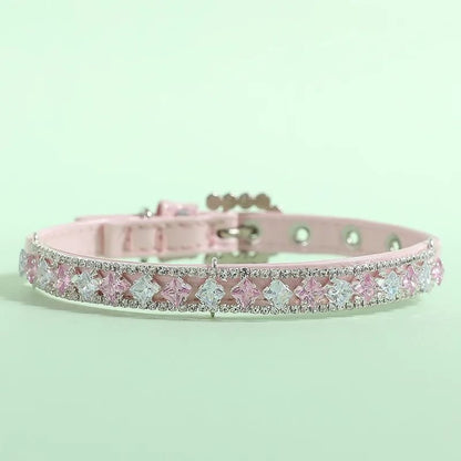 Collier chien | PerleCollier - empire chien