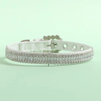 Collier chien | PerleCollier - empire chien