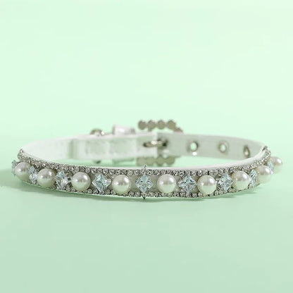 Collier chien | PerleCollier - empire chien