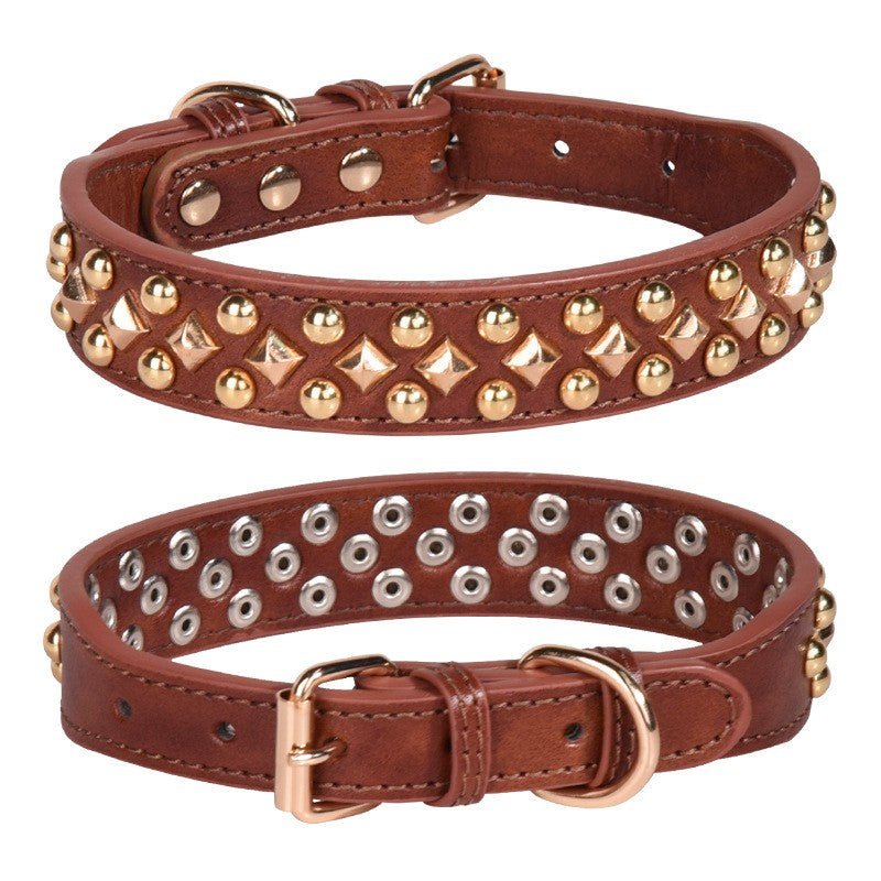 Collier chien | Rudox - empire chien