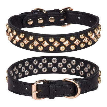 Collier chien | Rudox - empire chien