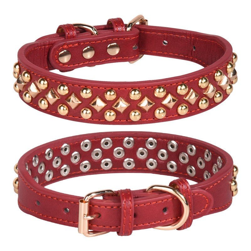 Collier chien | Rudox - empire chien