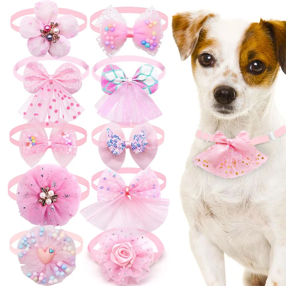 Collier chien | Toutounœud - empire chien