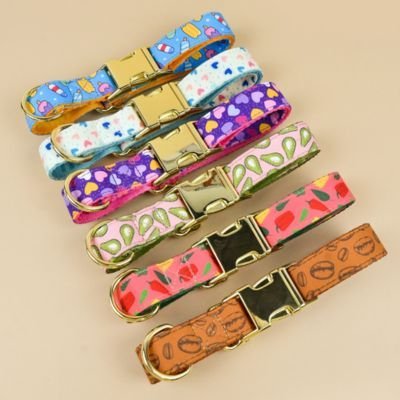 collier chien type couleurs parfaites