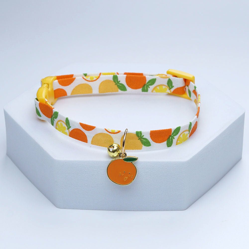 Collier chiot | collierfruits - empire chien