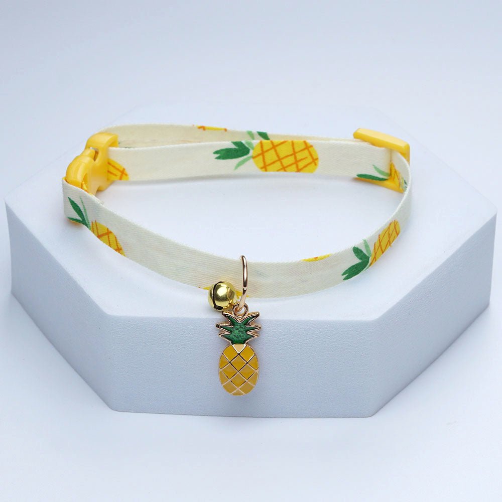 Collier chiot | collierfruits - empire chien
