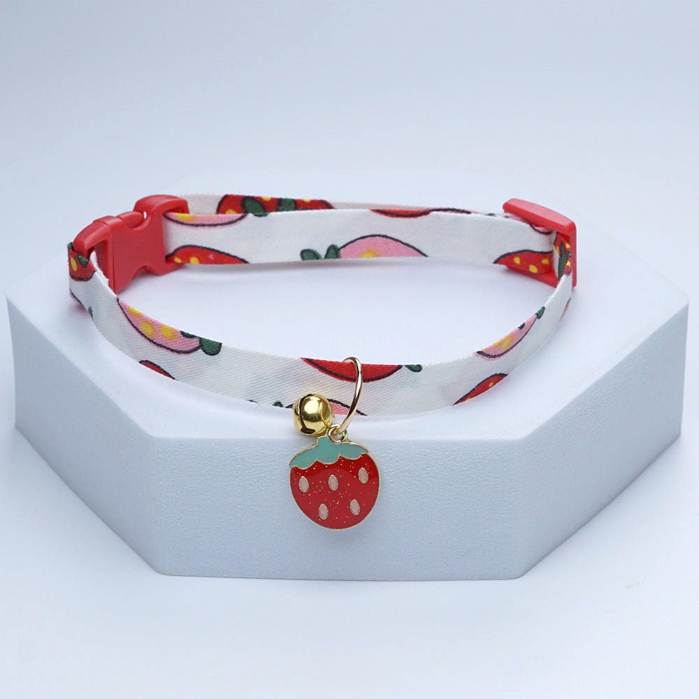 Collier chiot | collierfruits - empire chien