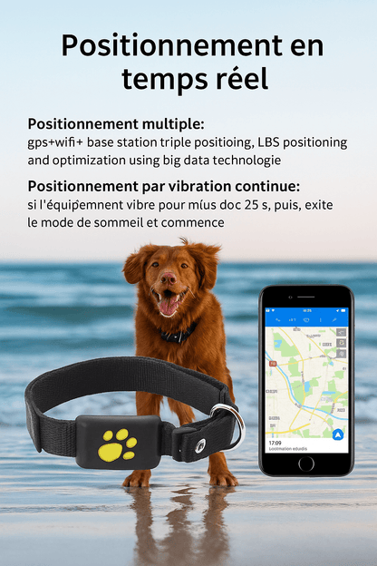 Collier gps chien | GPSChien - empire chien
