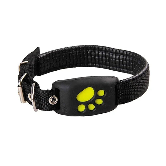 Collier gps chien | GPSChien - empire chien