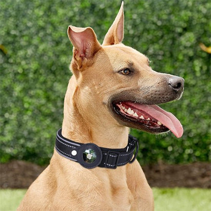 Collier gps chien | Locanimo - empire chien