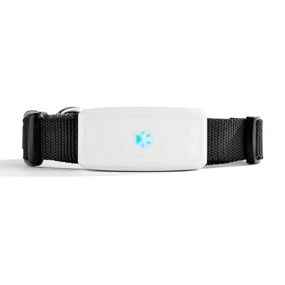 Collier GPS chien | Suivix - empire chien