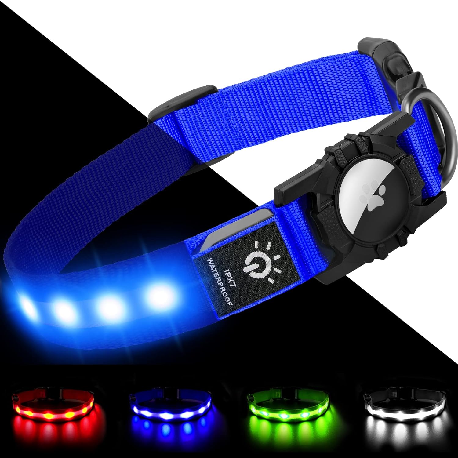 Collier gps chien | TagLumi - empire chien