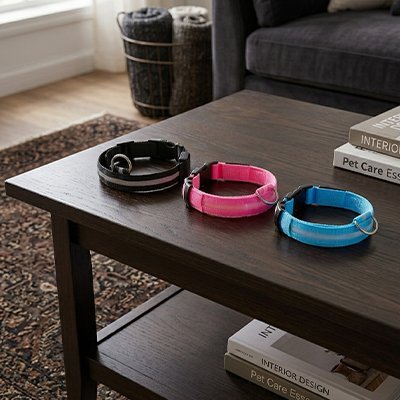 Collier lumineux Chien | Sécuricol - empire chien