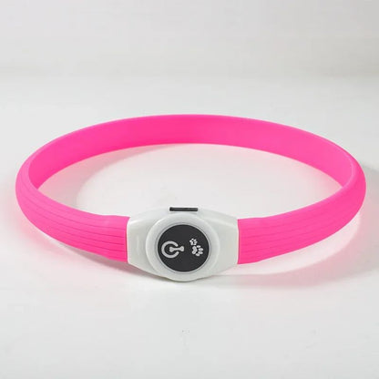Collier lumineux chien | Shinelix - empire chien