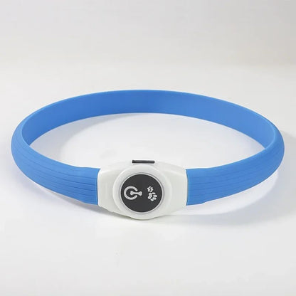 Collier lumineux chien | Shinelix - empire chien