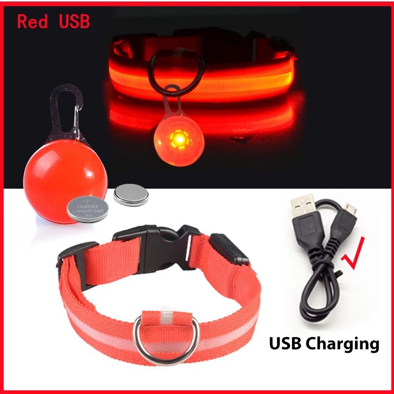 Collier lumineux pour chien | Noctilux - empire chien