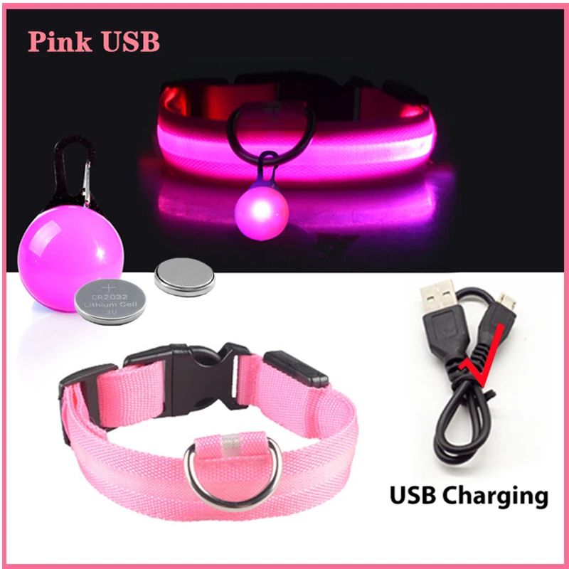 Collier lumineux pour chien | Noctilux - empire chien