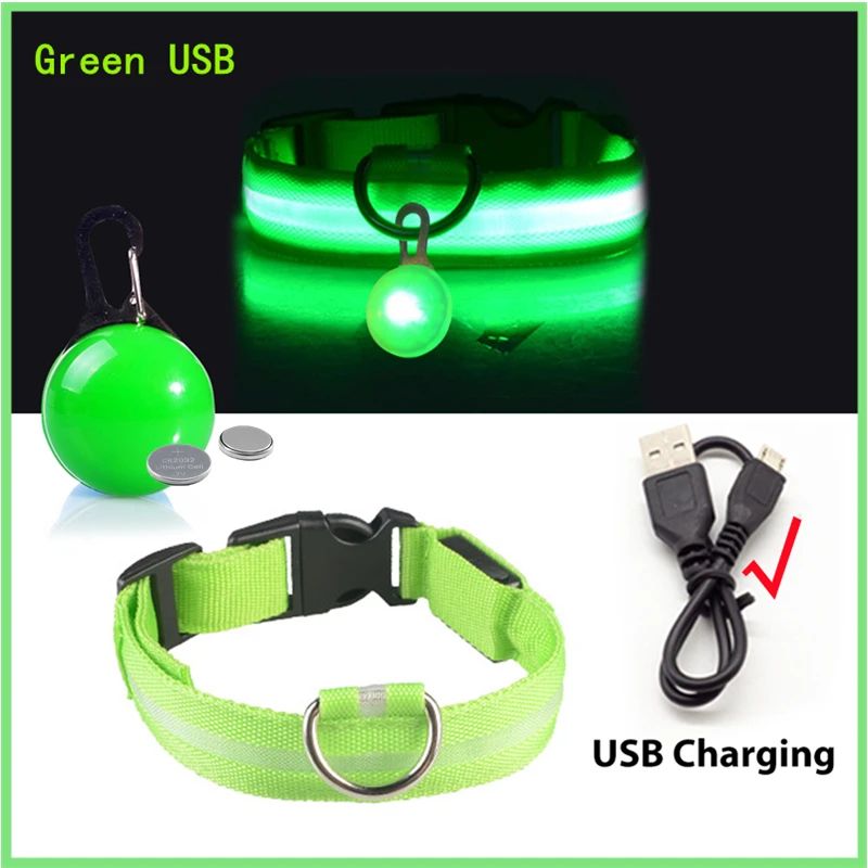 Collier lumineux pour chien | Noctilux - empire chien