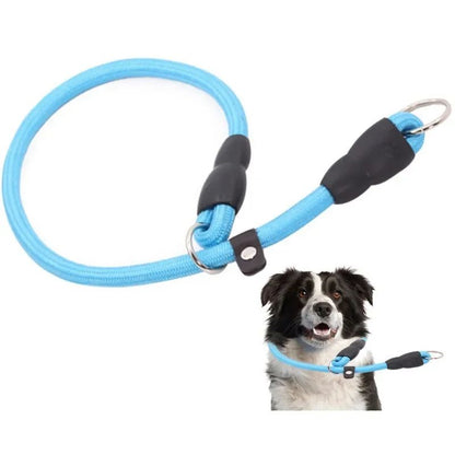 Collier pour chien | Canip - empire chien