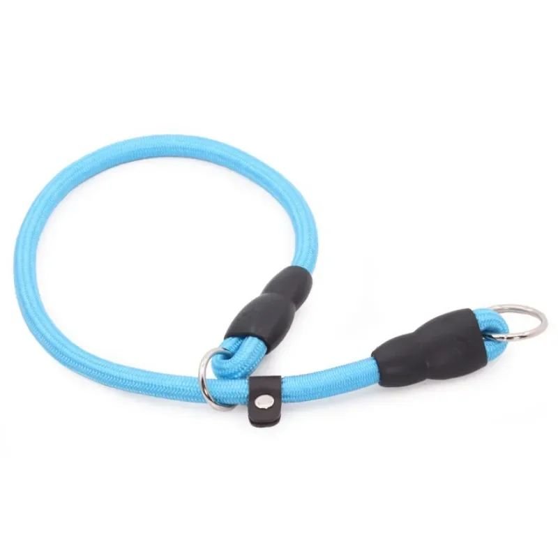 Collier pour chien | Canip - empire chien