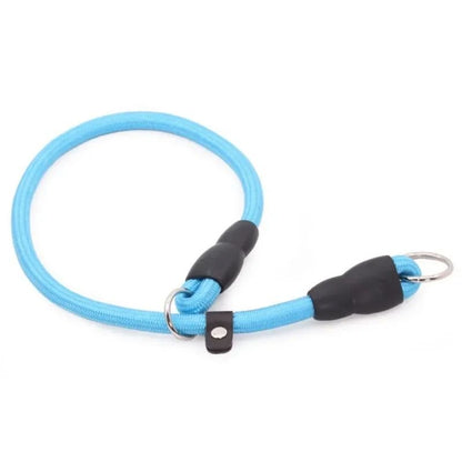 Collier pour chien | Canip - empire chien