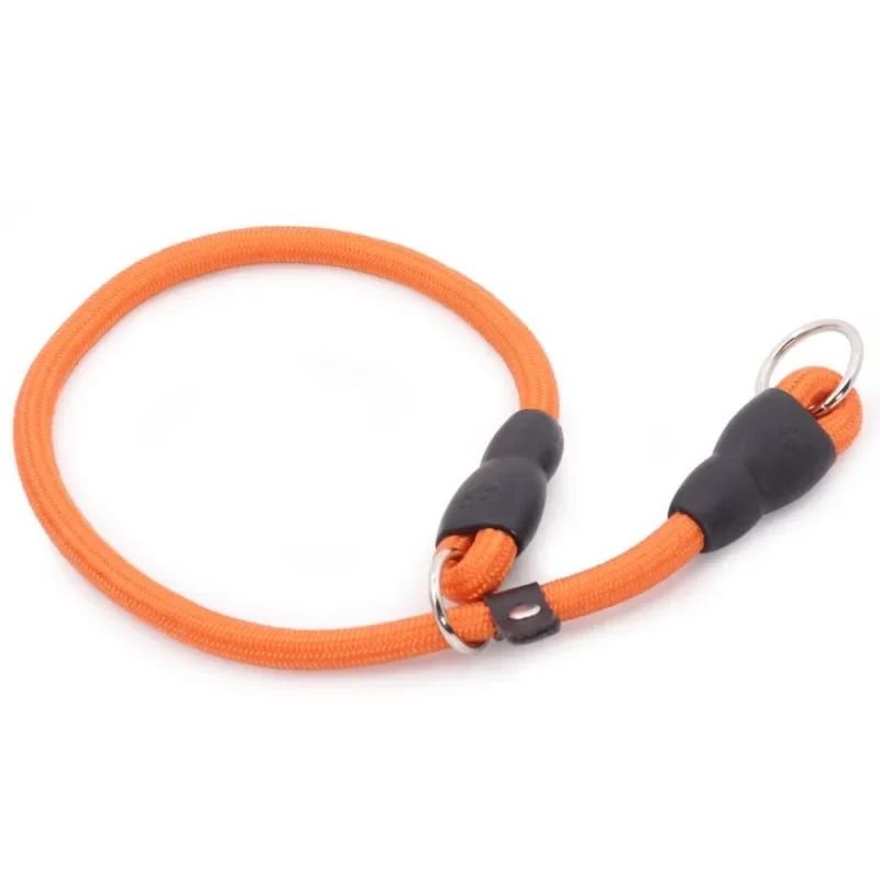 Collier pour chien | Canip - empire chien