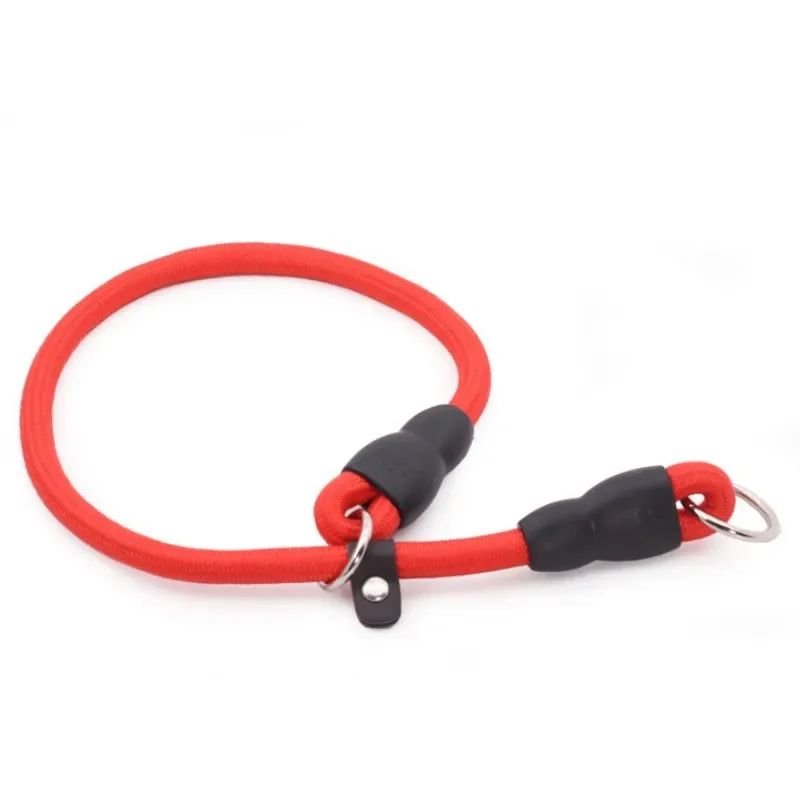 Collier pour chien | Canip - empire chien