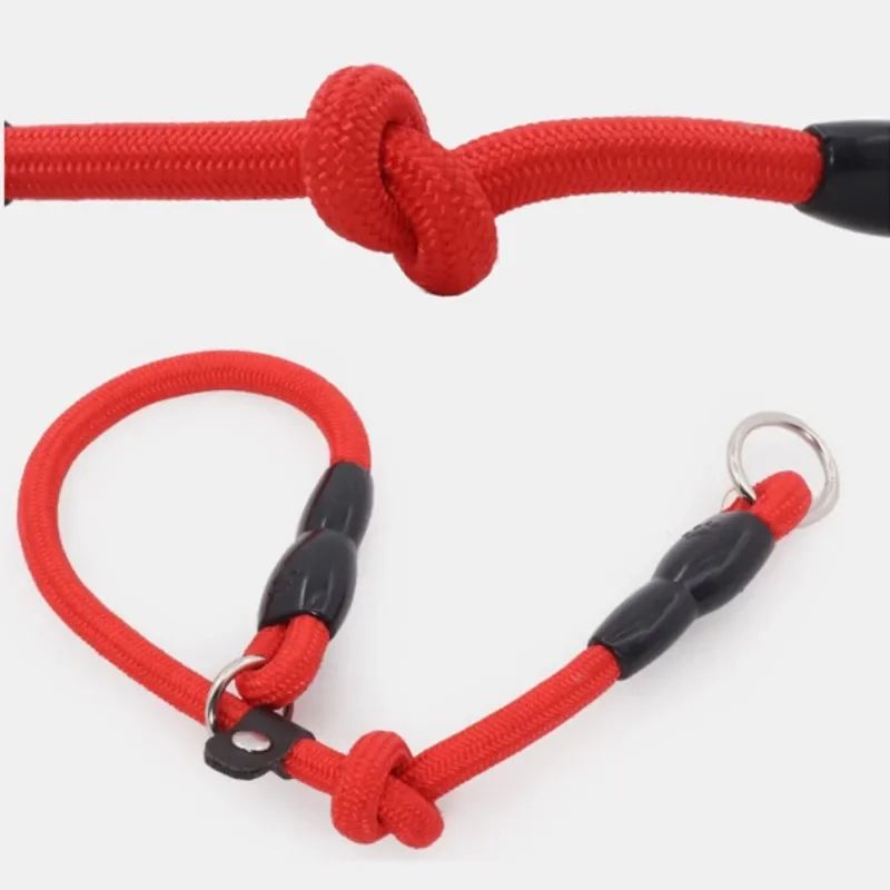 Collier pour chien | Canip - empire chien